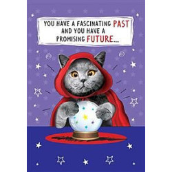 Comic Cat Fortune Teller Greeting Card Comic