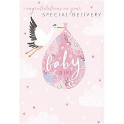 Baby Girl Trad Stork Carrying Bundle Greeting Card