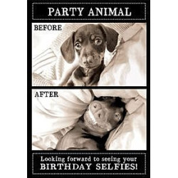 Before After Dog Greeting Card Animal Antics