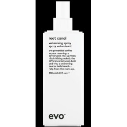 EVO root canal volumising spray