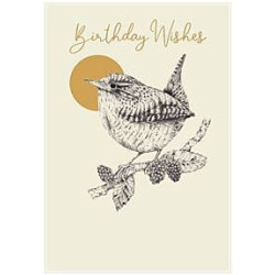 Female Wren with Gold Circle Greeting Card