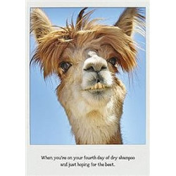 Fourth day of dry shampoo Greeting Card The Influencers