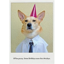 Hate birthdays Greeting Card The Influencers
