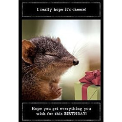 Hope its Cheese Mouse Greeting Card Animal Antics