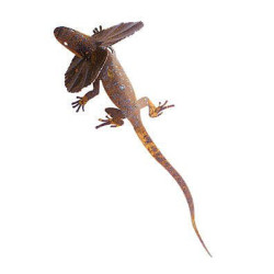 Large Frill Neck Lizard Garden Art