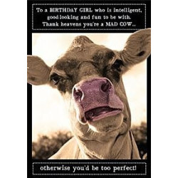 Mad Cow Greeting Card Animal Antics