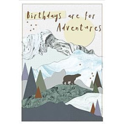 Male Birthdays are for Adventures Greeting Card