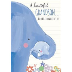 New Grandson Blue Elephants Greeting Card