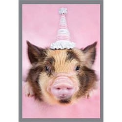 Pig with Party Hat Greeting Card Rachael Hale