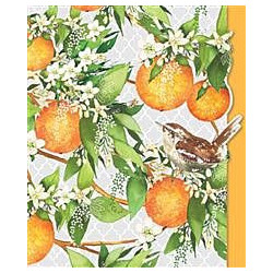 Pizazz Gallery Orange Blossom Greeting Card Pizazz Gallery