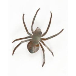 Spider Garden Art