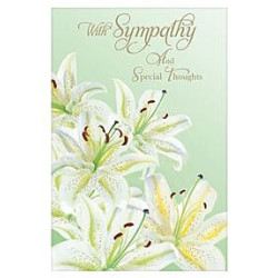 Sympathy White Lillies on Green Background Greeting Card