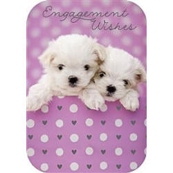 Two Puppies Greeting Card