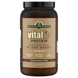 Vital Protein Chocolate Powder 500g