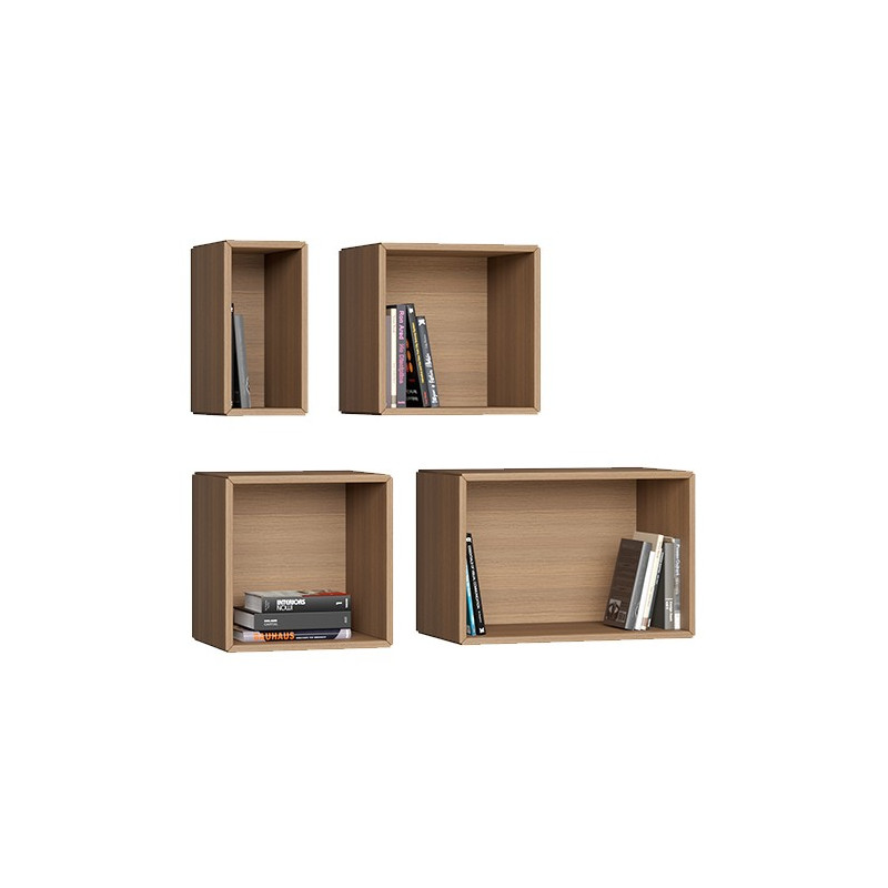Wall Mounted Cabinet & Shelves